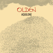 VREC295 – Olden – Aquilone – Copertina singolo